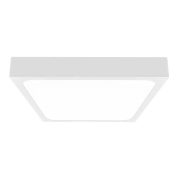 LED loftlampe til badeværelse med sensor LED/24W/230V 4000K IP44 29,5x29,5 cm hvid