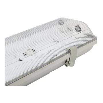 Aigostar - Fluorescerende lampe T8 2xG13/20W/230V IP65
