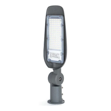 Aigostar - LED gadelampe LED/50W/230V 6500K IP65