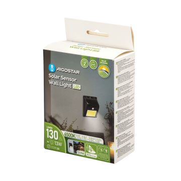 Aigostar - Soldrevet LED væglampe med sensor LED/13W/5,5V 6500K IP65