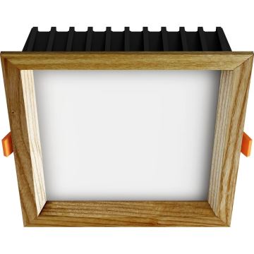 APLED - LED indbygningslampe SQUARE WOODLINE LED/12W/230V 4000K 17x17 cm aske massivt træ