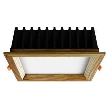 APLED - LED indbygningslampe SQUARE WOODLINE LED/12W/230V 4000K 17x17 cm aske massivt træ