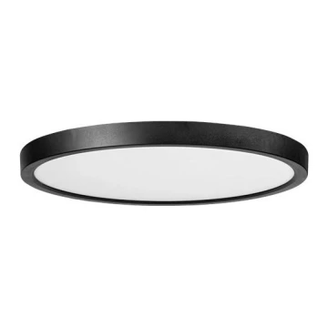 Azzardo AZ5366 - LED loftlampe til badeværelse dæmpbar PANKA LED/24W/230V IP40 sort