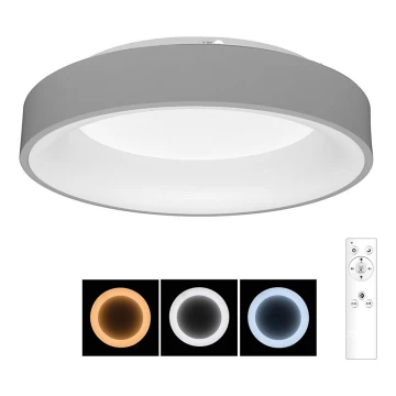 Brilagi - LED loftlampe dæmpbar FALCON LED/80W/230V 3000-6500K diam. 60 cm grå + fjernbetjening