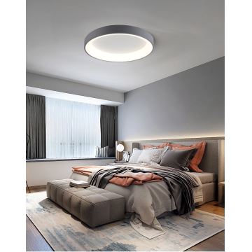 Brilagi - LED loftlampe dæmpbar FALCON LED/80W/230V 3000-6500K diam. 60 cm grå + fjernbetjening