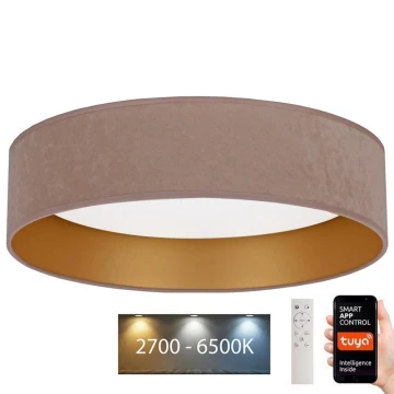 Brilagi - LED loftlampe dæmpbar VELVET SMART LED/36W/230V diam. 55 cm 2700-6500K Wi-Fi Tuya beige/guldfarvet + fjernbetjening