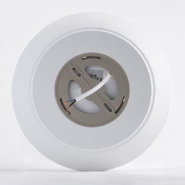 Brilagi - LED loftlampe til badeværelse VESTAS LED/12W/230V 4000K IP54