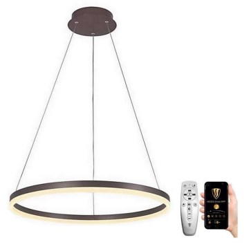 Brilagi - LED pendel dæmpbar CIRCLE LED/42W/230V 3000-6500K brun + fjernbetjening