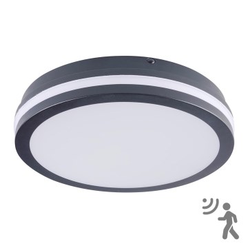 Brilagi - LED udendørslampe med sensor BENE LED/24W/230V diameter 26 cm antracit IP54