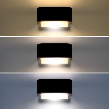 Brilagi - Udendørs LED væglampe BARI LED/7W/230V 3000/4000/6000K IP54