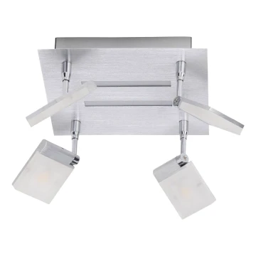 Brilliant - LED spotlampe PLAXICO 4xLED/6W/230V