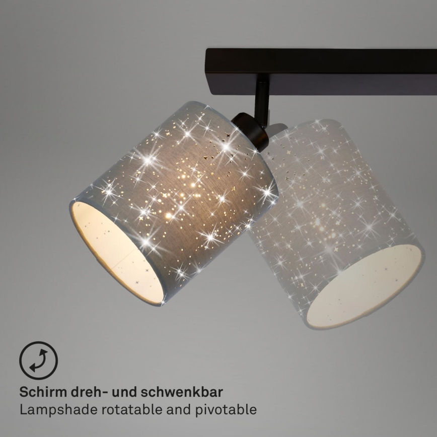 Briloner 2078-034 - Spotlampe SPOTLIGHT 3xE27/25W/230V šedár/sort