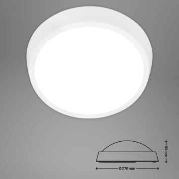 Briloner 3018-016 - Udendørs LED loftlampe HAGEN LED/24W/230V 4000K IP44 hvid