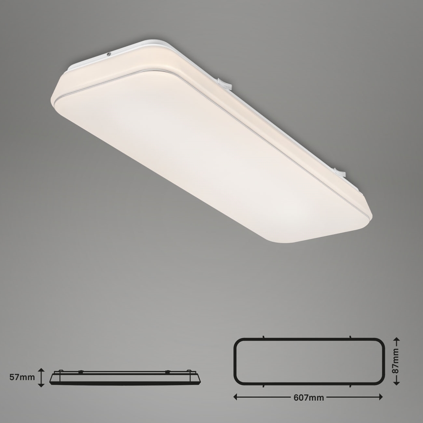 Briloner 3040-016 - LED loftlampe dæmpbar RUPA LED/24W/230V