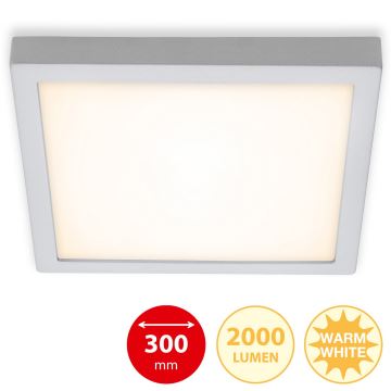 Briloner 7142-014 - LED loftlampe FIRE LED/21W/230V 3000K