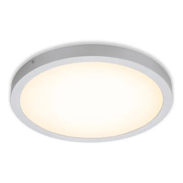 Briloner 7143-014 - LED loftlampe FIRE LED/24,5W/230V 3000K