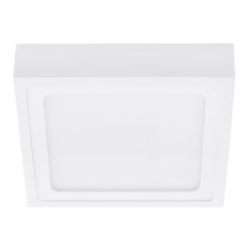 Briloner 7190-016 - LED loftsbelysning LED/12W/230V