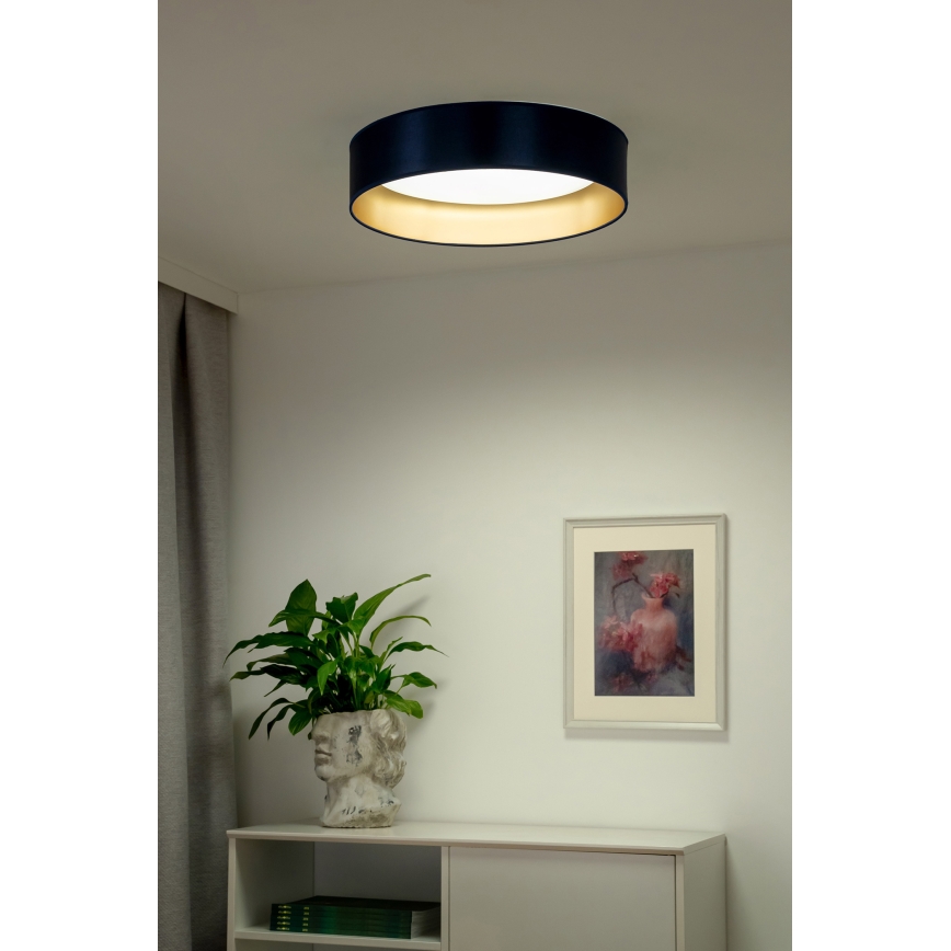 Duolla - LED loftlampe ROLLER LED/24W/230V blå/guldfarvet
