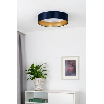 Duolla - LED loftlampe ROLLER LED/24W/230V blå/guldfarvet