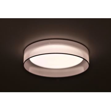 Duolla - LED loftlampe ROLLER LED/24W/230V lysegrå