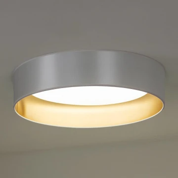 Duolla - LED loftlampe ROLLER LED/24W/230V sølvfarvet/guldfarvet