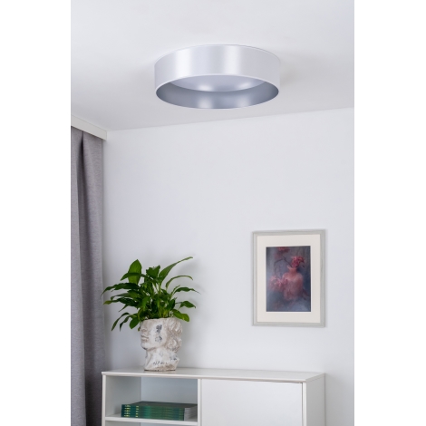 Duolla - LED loftlampe ROLLER LED/24W/230V sølvfarvet