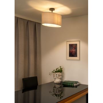 Duolla - Loftlampe OVAL 1xE27/15W/230V grå