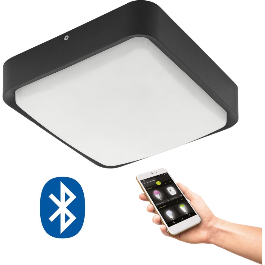 Eglo 33573 - LED Dæmpbar udendørs loft lys PIOVE-C LED/14W/230V IP44