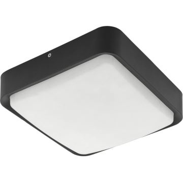 Eglo 33573 - LED Dæmpbar udendørs loft lys PIOVE-C LED/14W/230V IP44