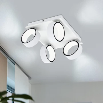 Eglo 39587 - LED spotlampe ALBARIZA 4xLED/4,6W/230V