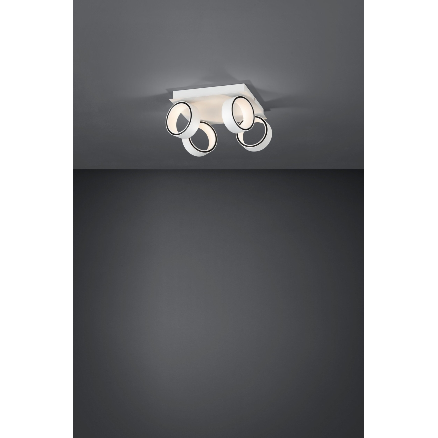 Eglo 39587 - LED spotlampe ALBARIZA 4xLED/4,6W/230V