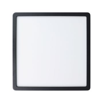 Eglo - Udendørs LED loftlampe LED/20,5W/230V IP44 sort