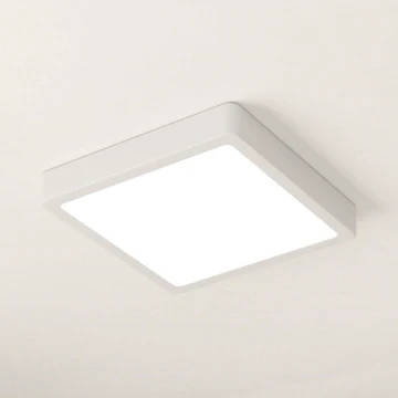 Eglo - LED loftlampe dæmpbar LED/17W/230V hvid