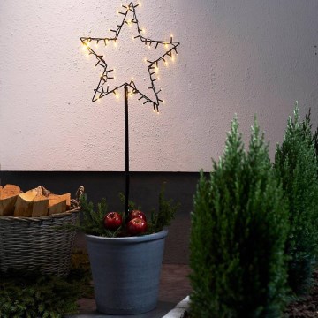 Eglo - Udendørs LED juledekoration LED/4xAA IP44 stjerne