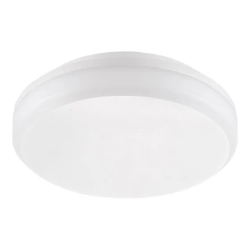 Emithor 63206 - LED arbejdslampe til loft SURFACE 1xLED/20W/230V IP65