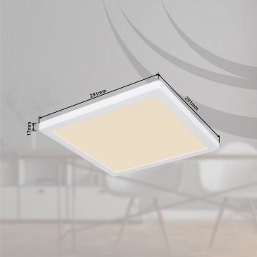 Globo - LED loftlampe LED/24W/230V 3000/4000/6500K hvid