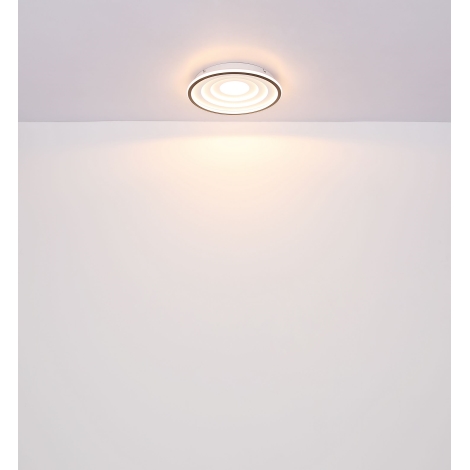Globo - LED loftlampe LED/24W/230V