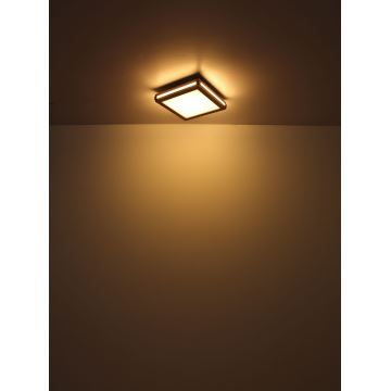 Globo - LED loftlampe LED/24W/230V 45x45 cm