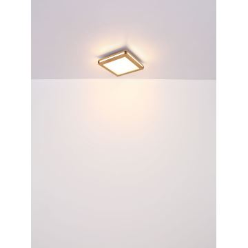 Globo - LED loftlampe LED/24W/230V 45x45 cm