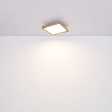 Globo - LED loftlampe LED/12W/230V 30 cm 2700/4500/6500K