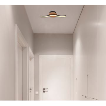 Globo - LED loftlampe LED/6W/230V