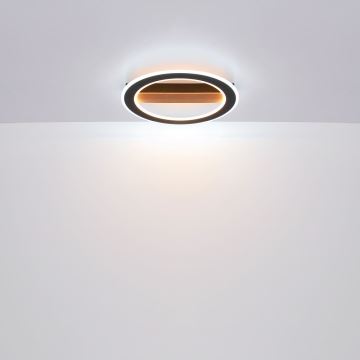 Globo - LED loftlampe LED/30W/230V rund