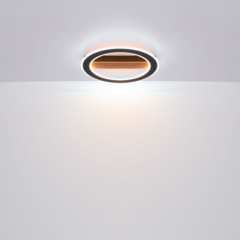 Globo - LED loftlampe LED/30W/230V rund
