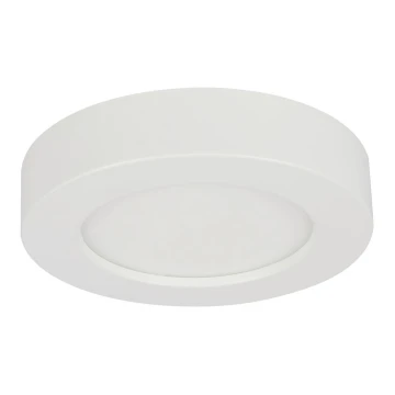 Globo - LED badeværelseslampe dæmpbar LED/18W/230V 3000/4000/6000K IP44