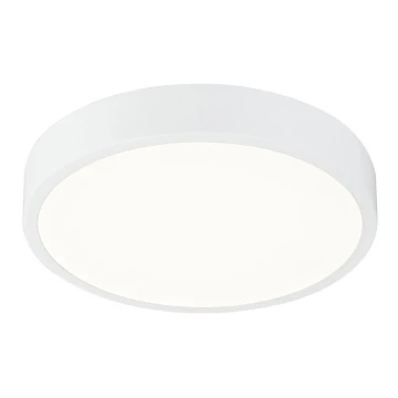 Globo - LED loftlampe dæmpbar LED/22W/230V