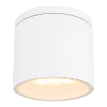 Globo - Udendørs loftlampe 1xGX53/11W/230V IP44