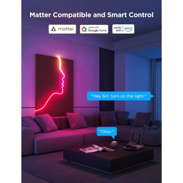 Govee - Neon 2 MATTER bøjelig LED lysbånd 3m RGBIC Wi-Fi IP67