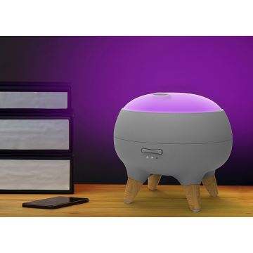 LED aroma-diffuser med LED-lys CARINO LED/10W/24V