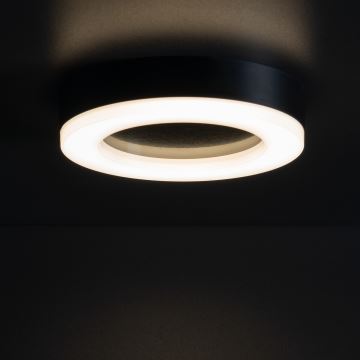 Udendørs LED loftlampe TURA LED/24W/230V 4000K IP54 sort