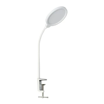 LED bordlampe dæmpbar LIPA LED/10W/230V 3000-6000K hvid
